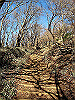 toudake33_thumb.png