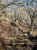 toudake36_thumb.png