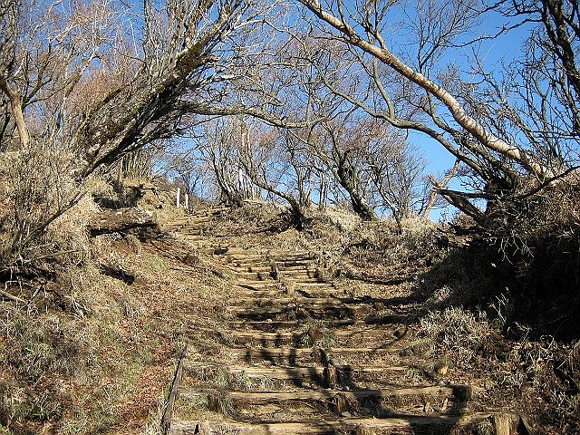 toudake37.jpg