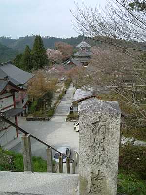 yosino16.jpg