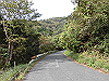 tbangai_014_thumb.png