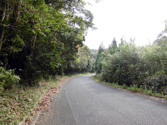 tbangai_015.jpg