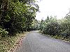 tbangai_015_thumb.png