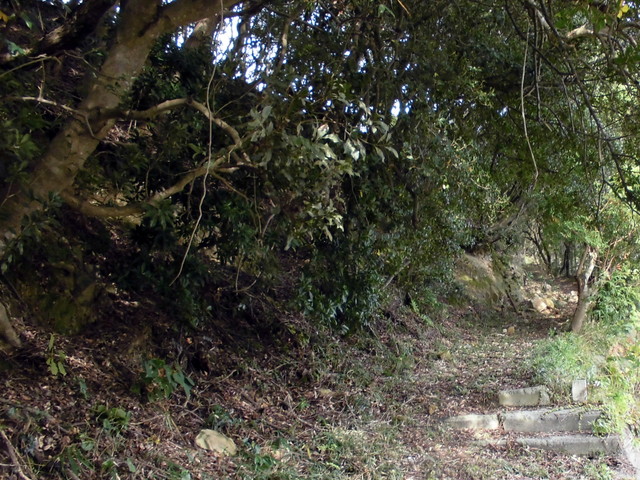 tbangai_032.jpg