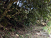 tbangai_032_thumb.png