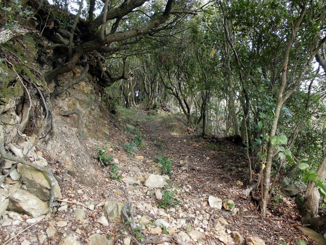 tbangai_033.jpg