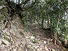 tbangai_033_thumb.png