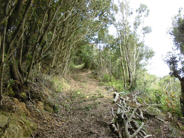 tbangai_034.jpg