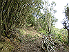 tbangai_034_thumb.png