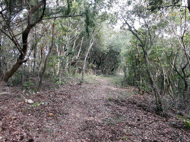 tbangai_035.jpg