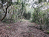 tbangai_035_thumb.png