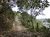 tbangai_036_thumb.png