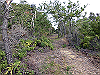 tbangai_037_thumb.png