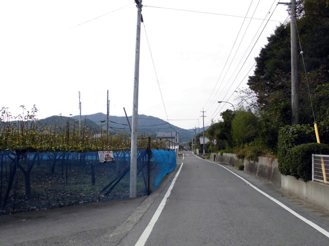 tbangai_058.jpg