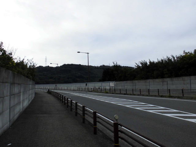 tbangai_091.jpg