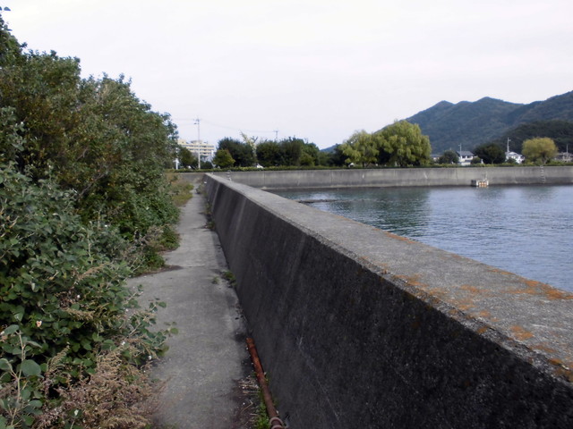 tbangai_120.jpg