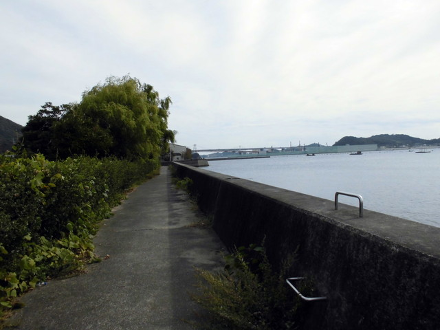 tbangai_122.jpg