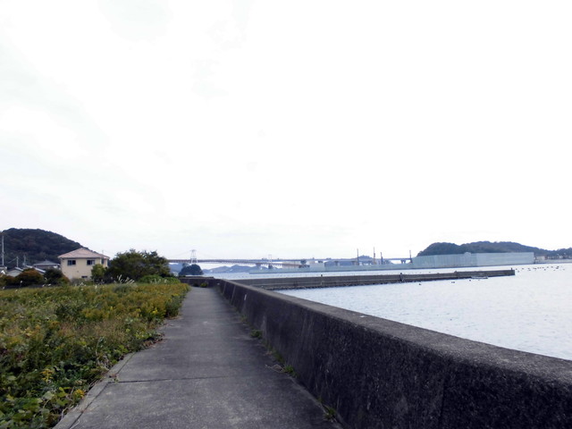 tbangai_128.jpg