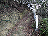 tbangai_152_thumb.png