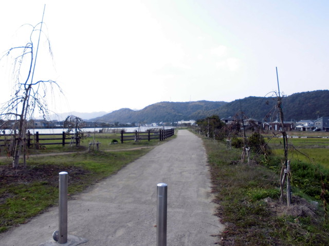 tbangai_205.jpg