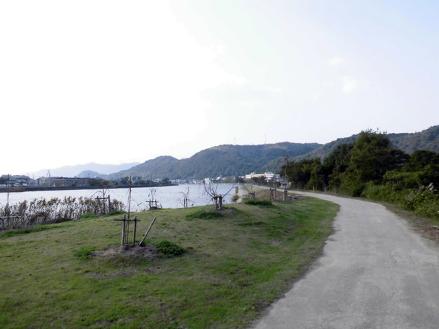 tbangai_206.jpg