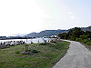 tbangai_206_thumb.png