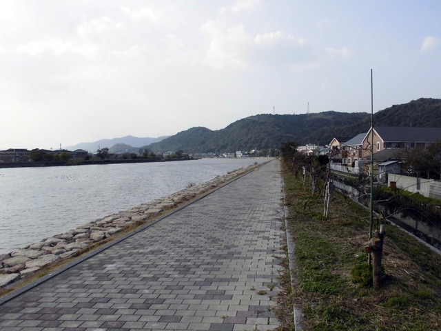 tbangai_207.jpg