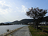 tbangai_209_thumb.png