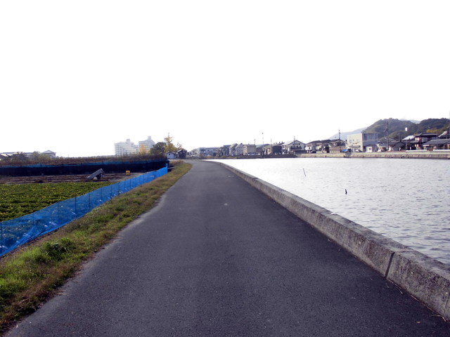 tbangai_217.jpg