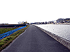 tbangai_217_thumb.png