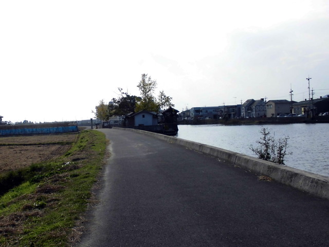 tbangai_218.jpg