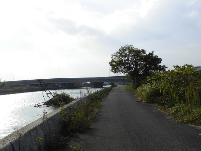 tbangai_224.jpg