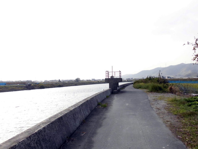 tbangai_230.jpg