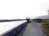 tbangai_230_thumb.png