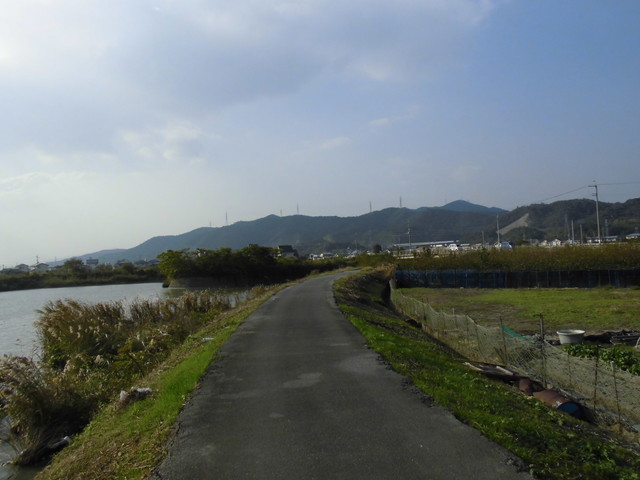 tbangai_232.jpg