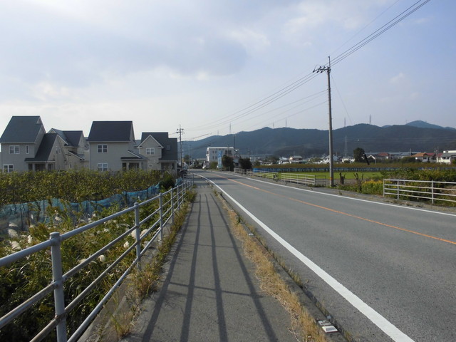 tbangai_235.jpg