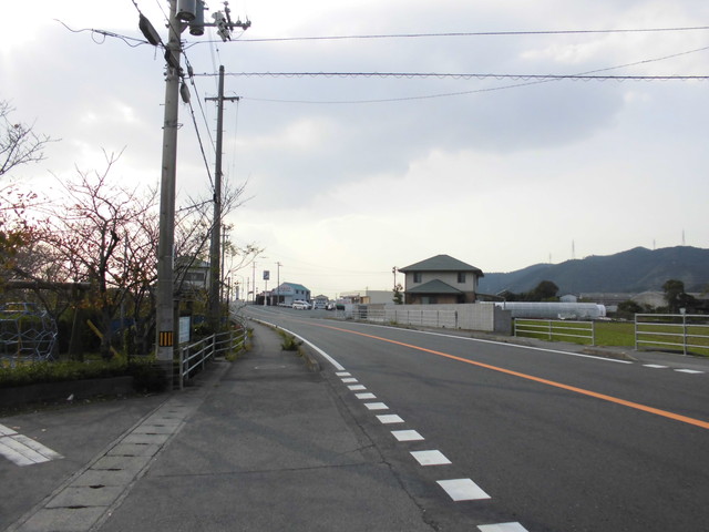 tbangai_236.jpg