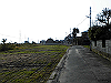 tbangai_254_thumb.png
