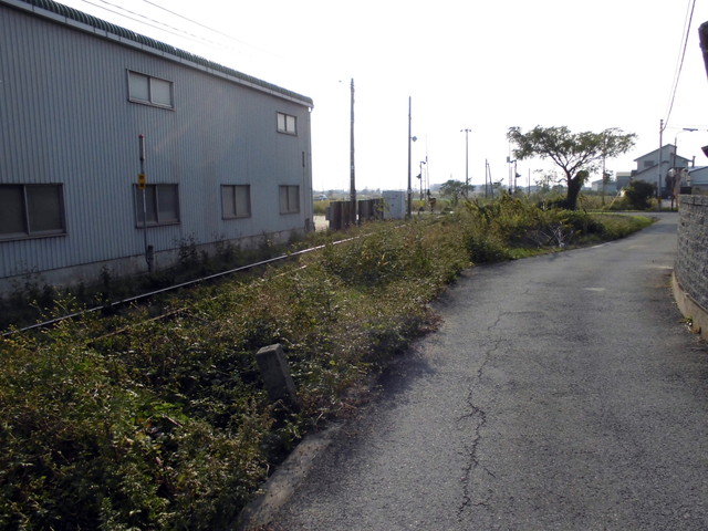 tbangai_255.jpg