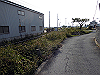 tbangai_255_thumb.png