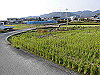 tbangai_258_thumb.png