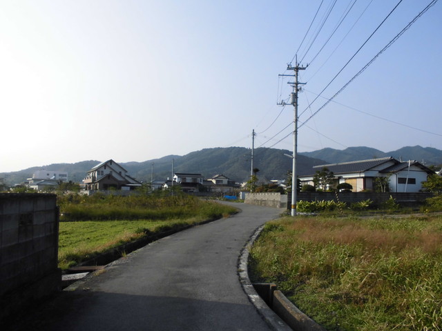 tbangai_261.jpg