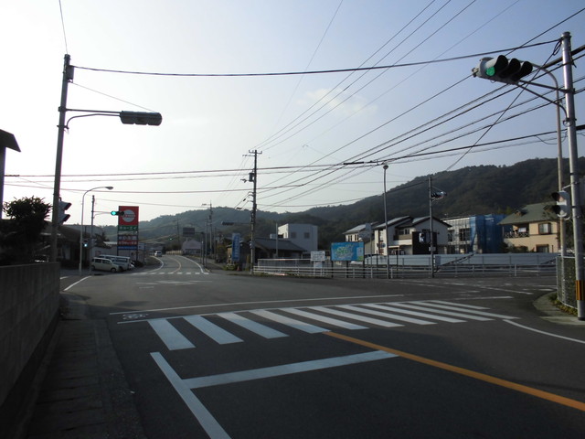 tbangai_269.jpg