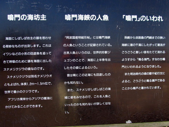 t01_004.jpg