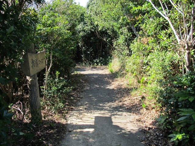 t01_005.jpg