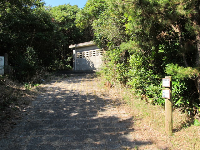 t01_011.jpg