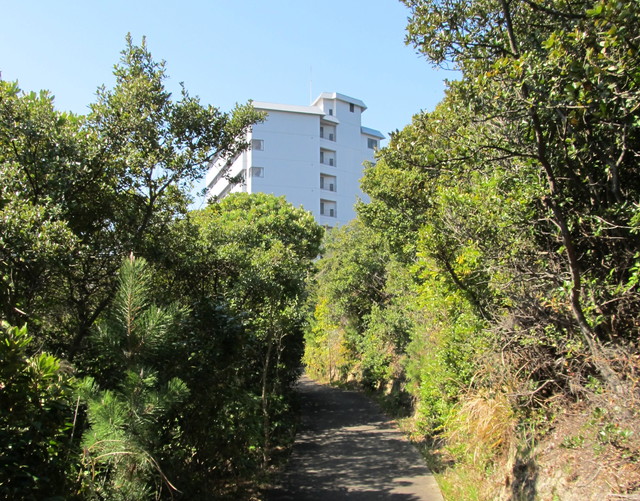 t01_014.jpg