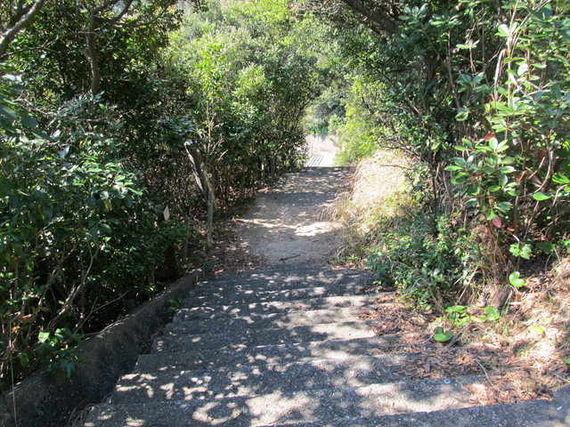 t01_016.jpg