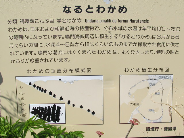 t01_019.jpg