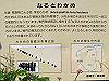 t01_019_thumb.jpg